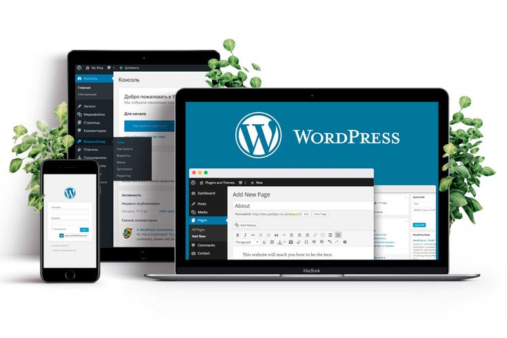 WordPress development services by Zurihub Technology